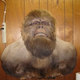 Illustration for article titled Creative Taxidermy Fuels Your Cryptozoological Nightmares